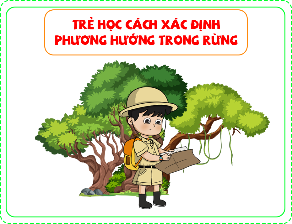Trẻ học cách xác định phương hướng trong rừng