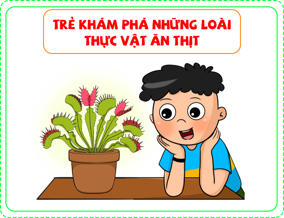 Trẻ khám phá những loài thực vật ăn thịt 