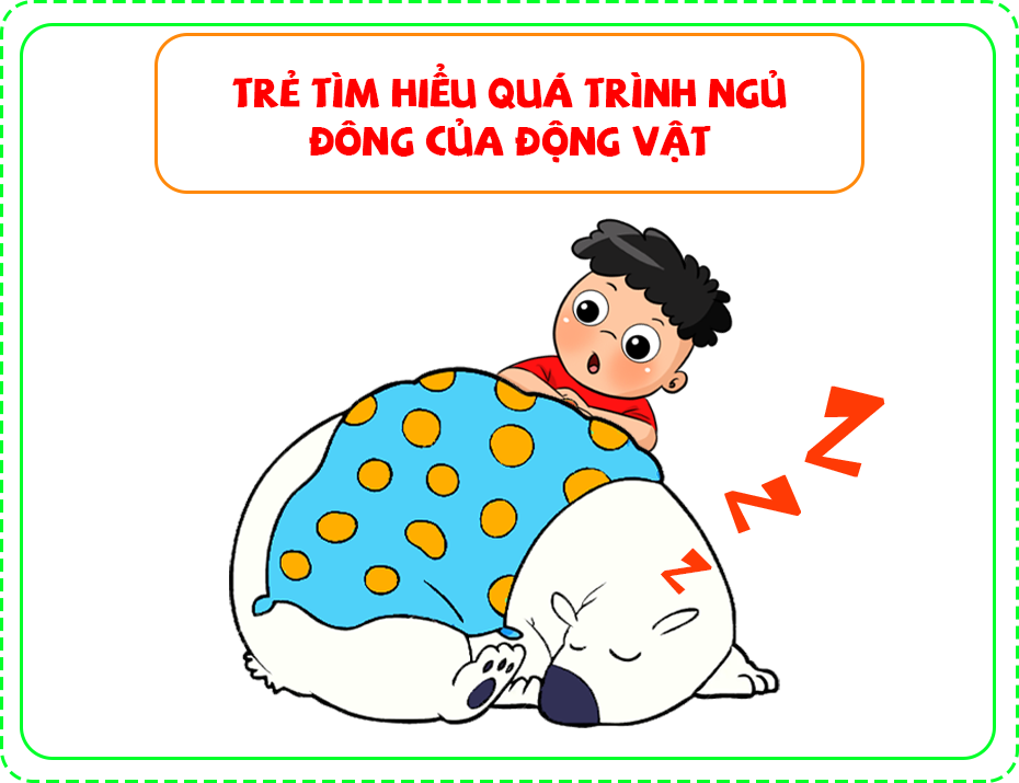 Trẻ tìm hiểu quá trình ngủ đông của động vật