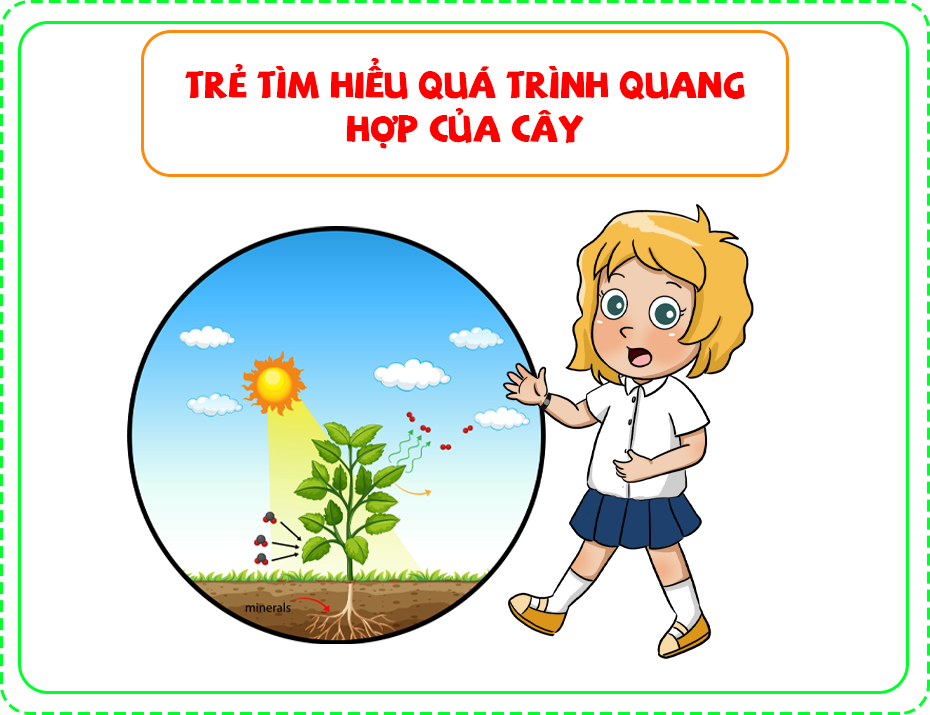 Trẻ tìm hiểu quá trình quang hợp của cây