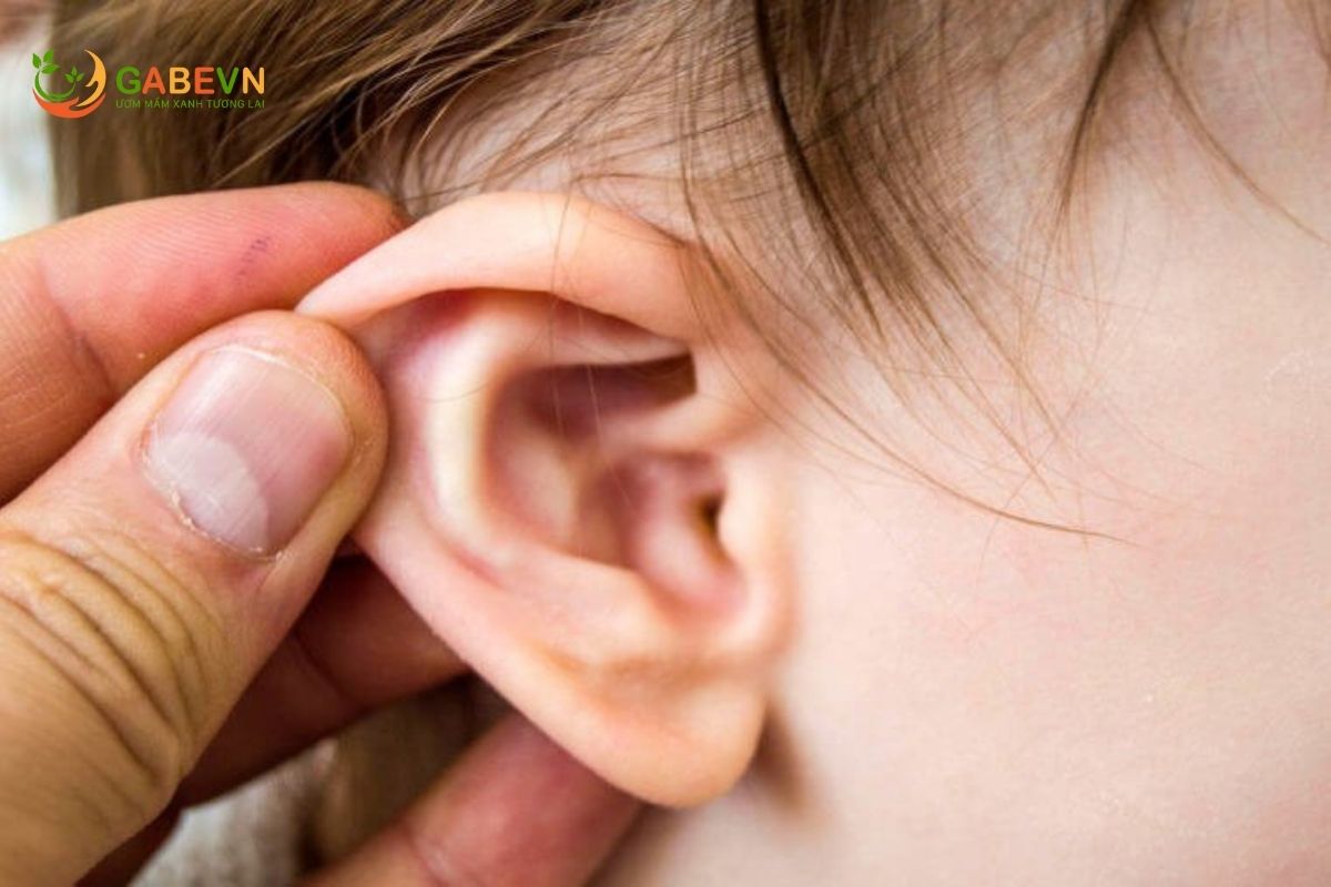 nguyên-nhân-và-dấu-hiệu-nhận-biết-viêm-tai-giữa-ở-trẻ